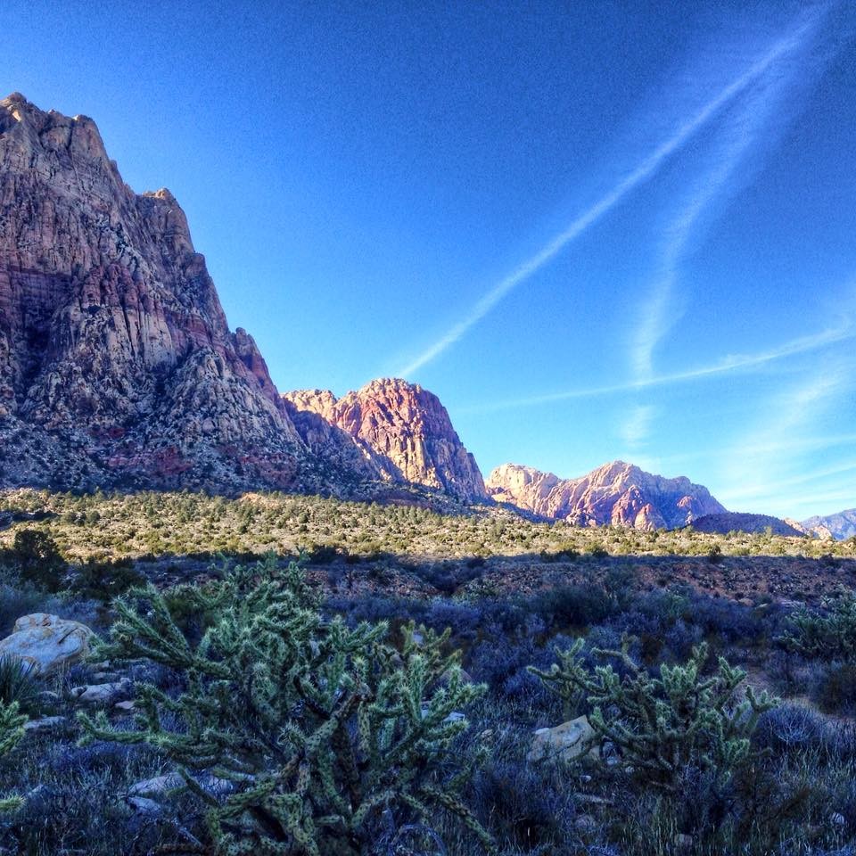 Nature Aplenty