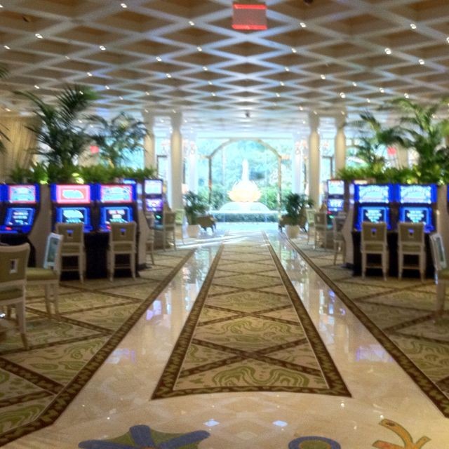 Wynn