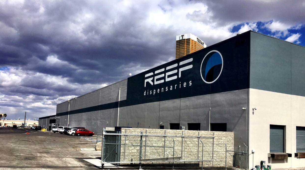 Reef