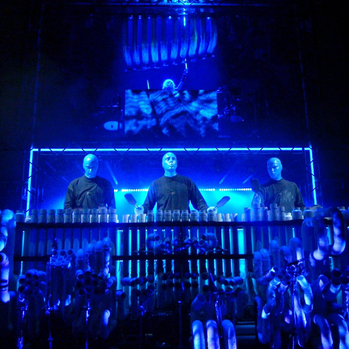 The Blue Man Group