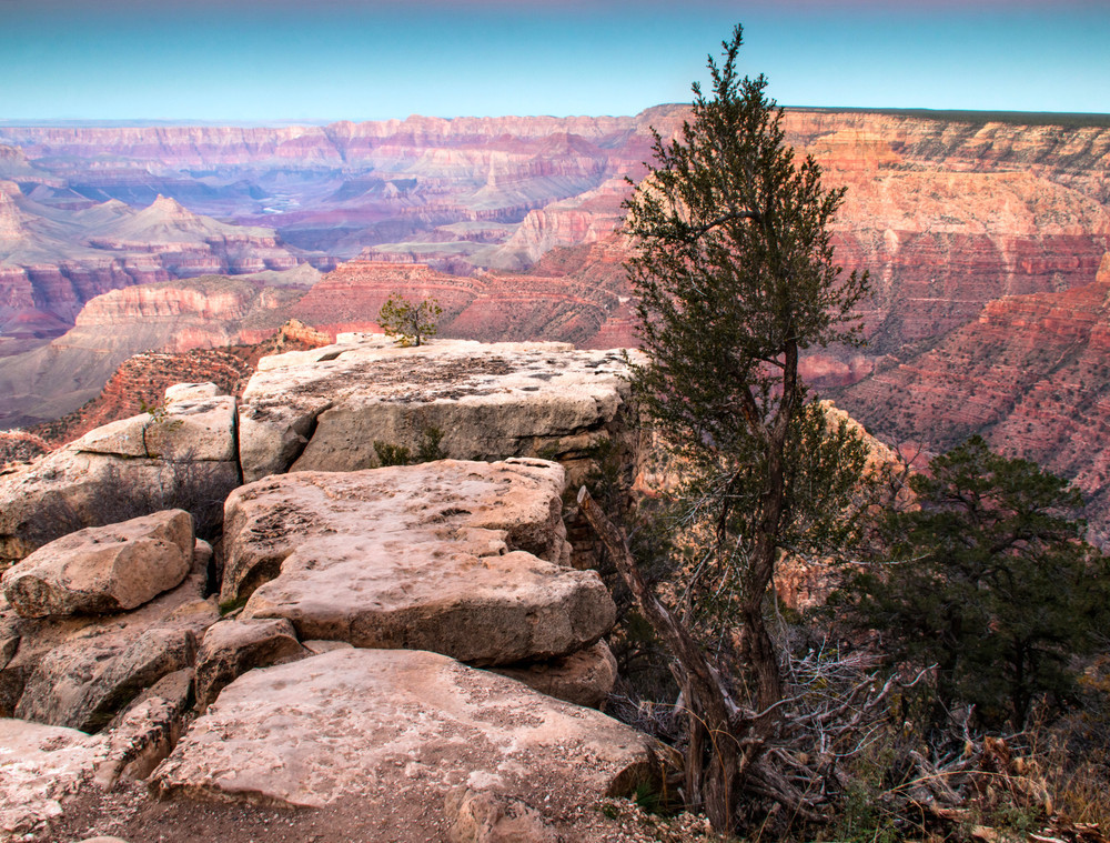 The Grand Canyon